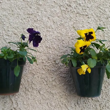 Casa Iriana - Parking Gratis I Jardin I Barbacoa Holiday home