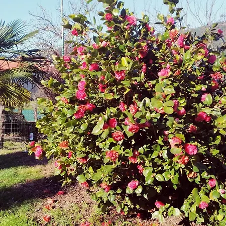 Casa Iriana - Parking Gratis I Jardin I Barbacoa Ourense