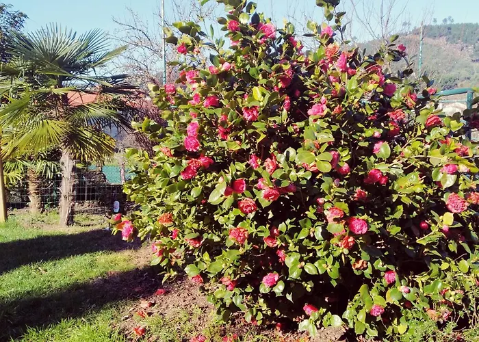 Casa Iriana - Parking Gratis I Jardin I Barbacoa Ourense